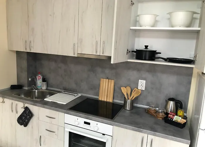 Superb Free Underground Parking Lejlighed Pazardsjik